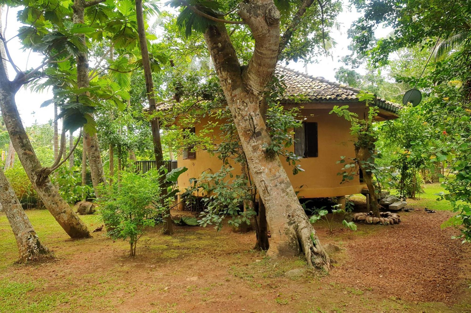 Guruwaththa Eco Lodge Hikkaduwa Exterior photo
