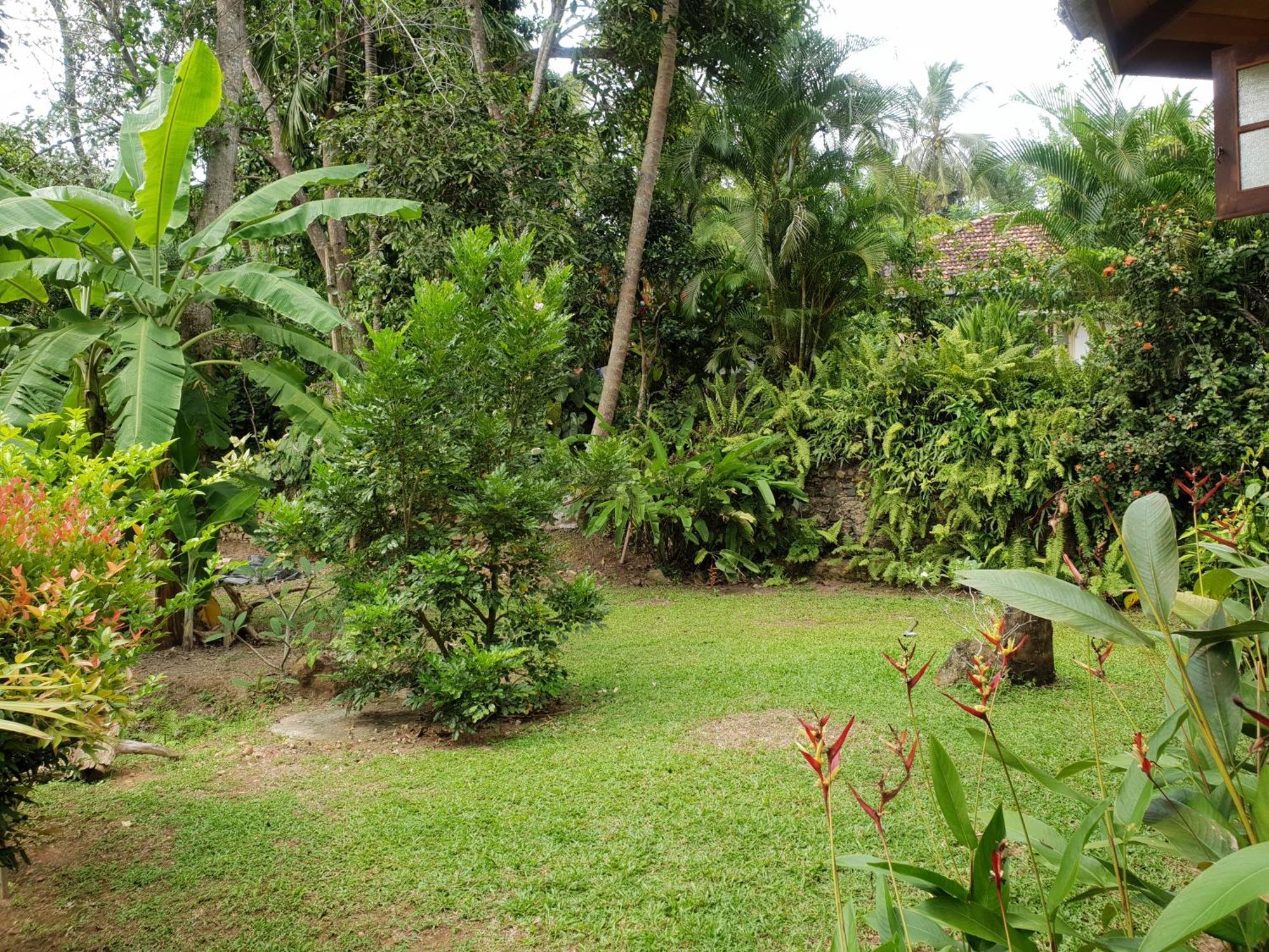 Guruwaththa Eco Lodge Hikkaduwa Exterior photo