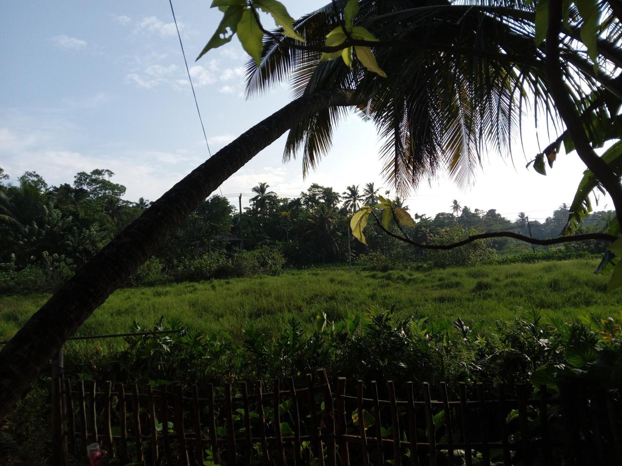 Guruwaththa Eco Lodge Hikkaduwa Exterior photo