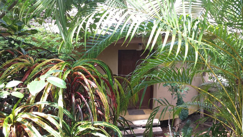 Guruwaththa Eco Lodge Hikkaduwa Exterior photo